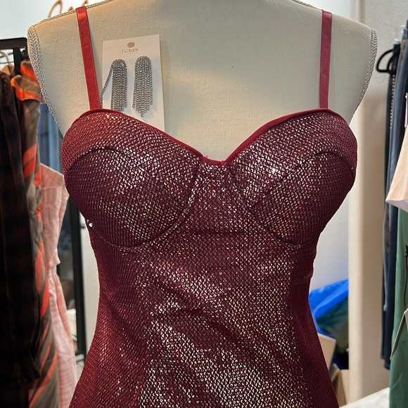 NWT bundle bodycon dress and earrings - Picture 5 of 6